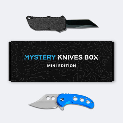 Mini Mystery Box™