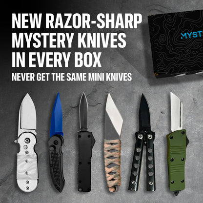 Mini Mystery Box™