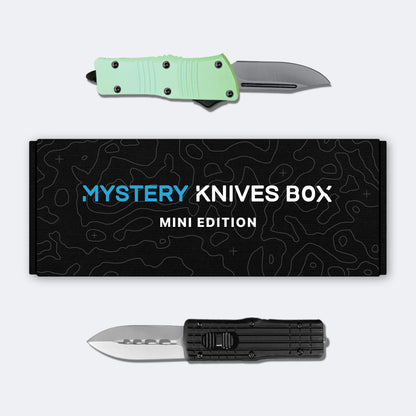 Mini Mystery Box™